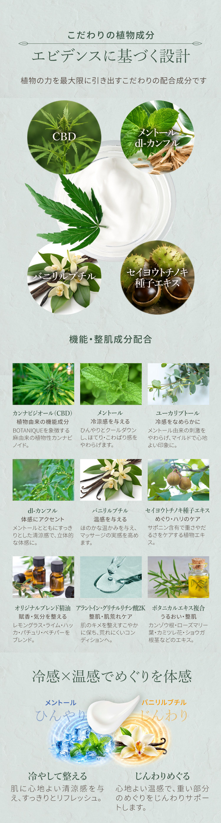 BOTANIQUE リバイタライジングボディクリーム 説明画像3