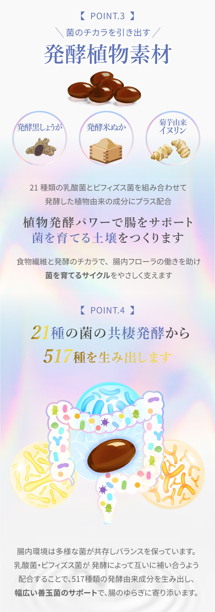 ポイント３,４ パーフェクトビオフローラ 乳酸菌 ビフィズス菌 サプリメント 60粒 植物発酵 お腹のハリ ガス 便秘 腸内バランス 乱れ 腸活 腸内環境v 栄養素 更年期 ゆらぎ ホルモン 神経 美容 fuwari ふわり