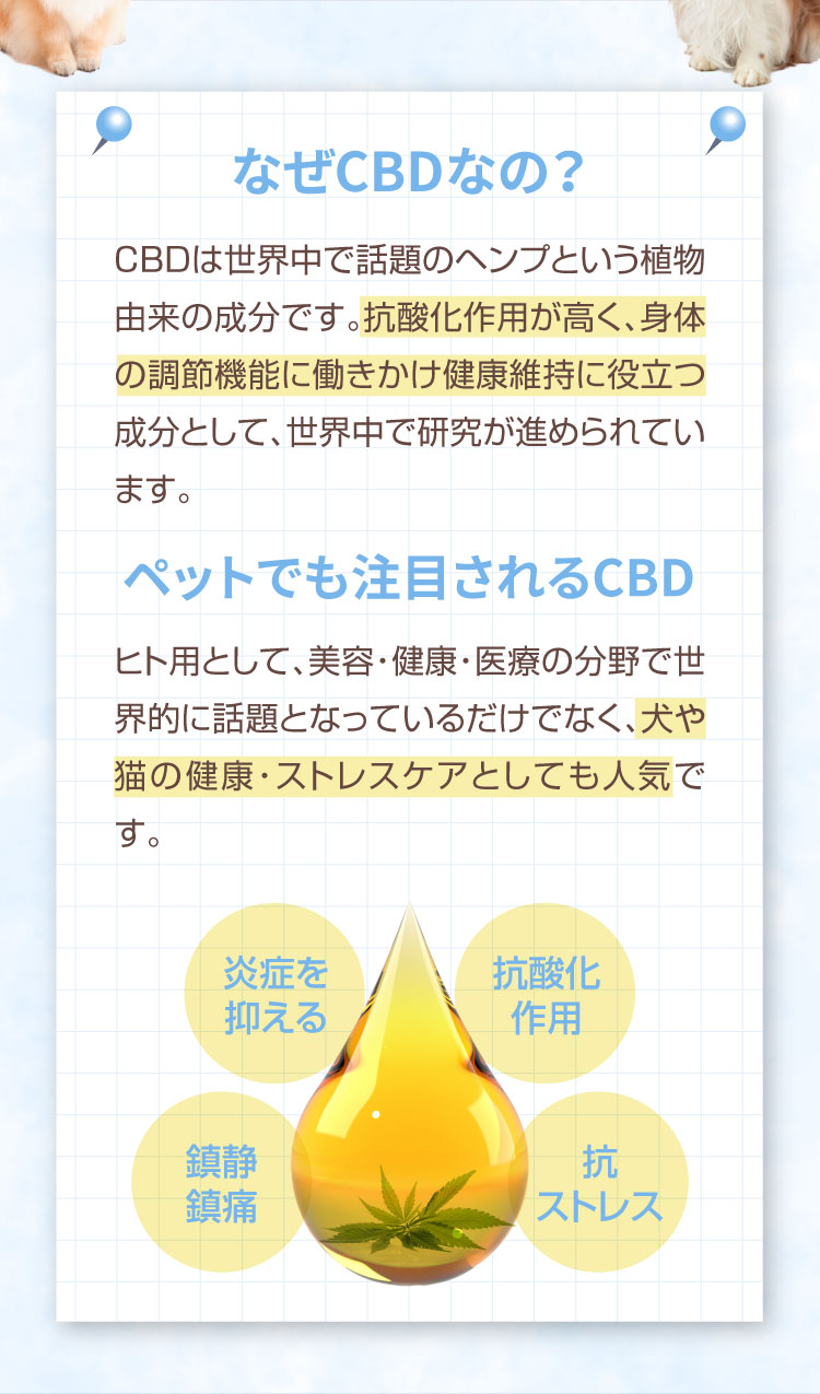 なぜCBDなの M&Ns(エムアンドエヌズ）CBD ペット用 オイル 犬用 100mg CBDオイル ペットグッズ ペットフード ドッグフード アイソレート 犬 猫 動物 カンナビジオール リラックス ストレス 健康 ペット用品 国内製造 国産 介護用品 介護 夜泣き 老犬 ケア 関節 車酔い てんかん 健康 分離不安 シニア犬 関節　mctオイル お試し