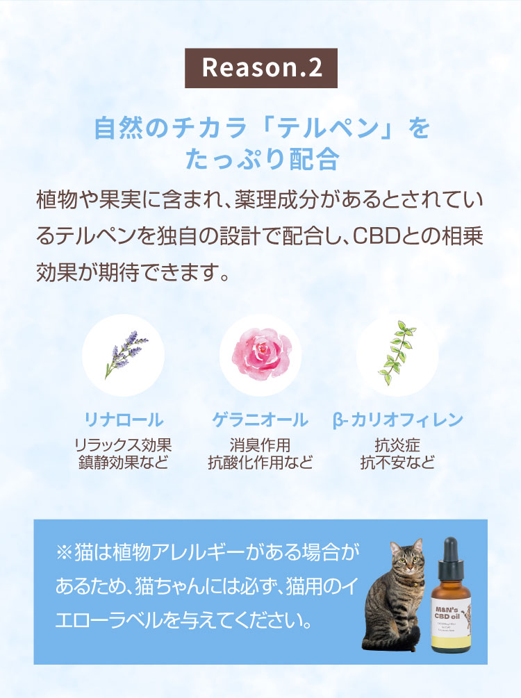 M&N's CBD 獣医師推奨 理由2 テルペン配合【犬用CBDオイル】M&Ns(エムアンドエヌズ）CBD ペット用 オイル 犬用 100mg CBDオイル ペットグッズ ペットフード ドッグフード アイソレート 犬 猫 動物 カンナビジオール リラックス ストレス 健康 ペット用品 国内製造 国産 老犬 ケア 関節 車酔い てんかん 健康 分離不安 シニア犬 関節　mctオイル お試し サプリメント 夜泣き 介護用品 介護