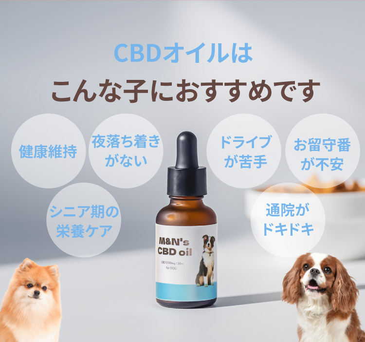 こんなお悩みにおすすめです【犬用CBDオイル】M&Ns(エムアンドエヌズ）CBD ペット用 オイル 犬用 100mg CBDオイル ペットグッズ ペットフード ドッグフード アイソレート 犬 猫 動物 カンナビジオール リラックス ストレス 健康 ペット用品 国内製造 国産 老犬 ケア 関節 車酔い てんかん 健康 分離不安 シニア犬 関節　mctオイル お試し サプリメント 介護用品 介護　夜泣き