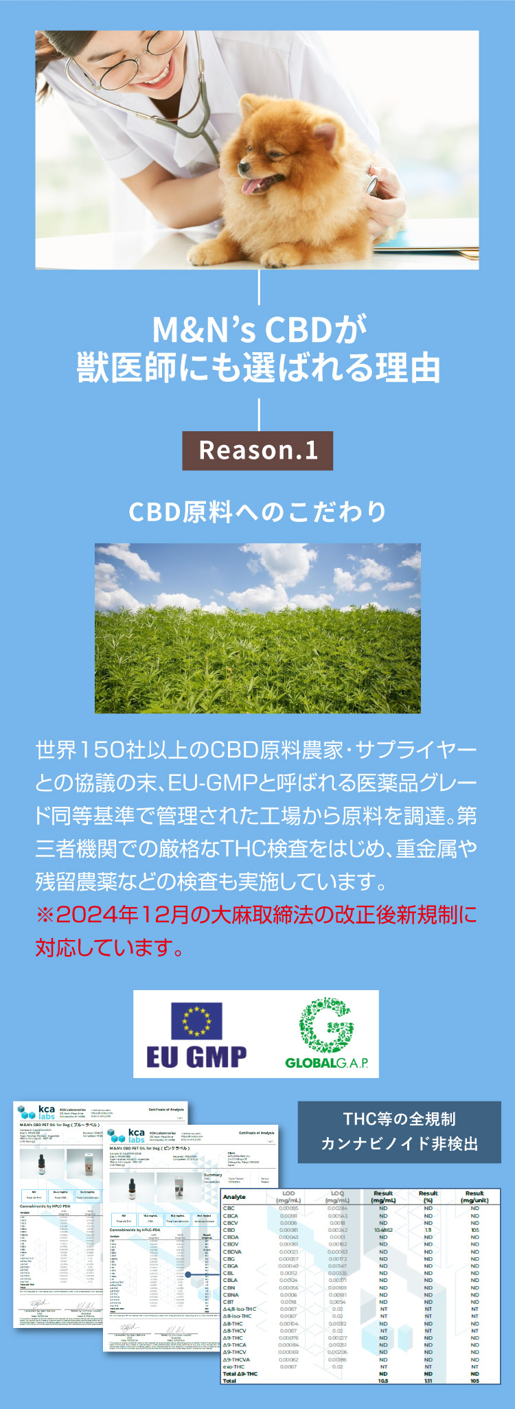 M&N's CBD 獣医師推奨 理由1【犬用CBDオイル】M&Ns(エムアンドエヌズ）CBD ペット用 オイル 犬用 100mg CBDオイル ペットグッズ ペットフード ドッグフード アイソレート 犬 猫 動物 カンナビジオール リラックス ストレス 健康 ペット用品 国内製造 国産 老犬 ケア 関節 車酔い てんかん 健康 分離不安 シニア犬 関節　mctオイル お試し サプリメント 夜泣き 介護用品 介護