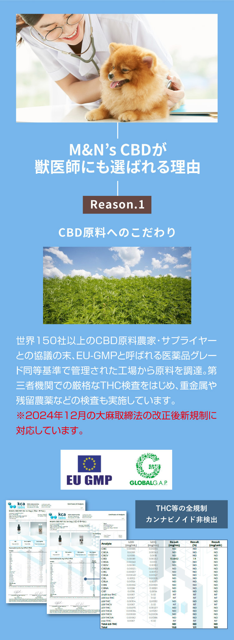 M&N's CBD 獣医師推奨 理由1【犬用CBDオイル】M&Ns(エムアンドエヌズ）CBD ペット用 オイル 犬用 100mg CBDオイル ペットグッズ ペットフード ドッグフード アイソレート 犬 猫 動物 カンナビジオール リラックス ストレス 健康 ペット用品 国内製造 国産 老犬 ケア 関節 車酔い てんかん 健康 分離不安 シニア犬 関節　mctオイル お試し サプリメント 夜泣き 介護用品 介護