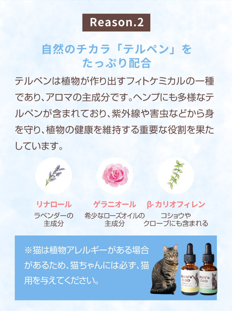 M&N's CBD 獣医師推奨 理由2 テルペン配合【犬用CBDオイル】M&Ns(エムアンドエヌズ）CBD ペット用 オイル 犬用 100mg CBDオイル ペットグッズ ペットフード ドッグフード アイソレート 犬 猫 動物 カンナビジオール リラックス ストレス 健康 ペット用品 国内製造 国産 老犬 ケア 関節 車酔い てんかん 健康 分離不安 シニア犬 関節　mctオイル お試し サプリメント 夜泣き 介護用品 介護
