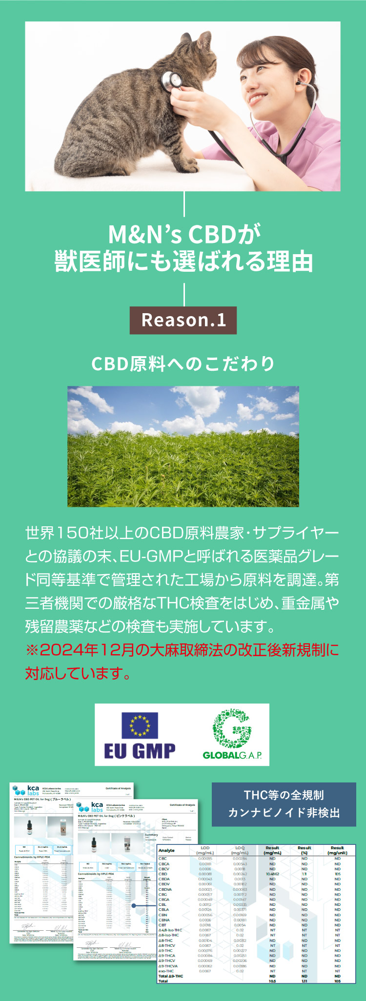 M&N's CBD 獣医師推奨 理由1【犬用CBDオイル】M&Ns(エムアンドエヌズ）CBD ペット用 オイル 犬用 100mg CBDオイル ペットグッズ ペットフード ドッグフード アイソレート 犬 猫 動物 カンナビジオール リラックス ストレス 健康 ペット用品 国内製造 国産 老犬 ケア 関節 車酔い てんかん 健康 分離不安 シニア犬 関節　mctオイル お試し サプリメント 夜泣き 介護用品 介護
