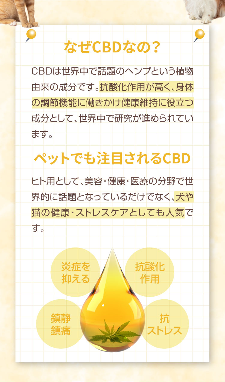 なぜCBDなの M&Ns(エムアンドエヌズ）CBD ペット用 オイル 犬用 100mg CBDオイル ペットグッズ ペットフード ドッグフード アイソレート 犬 猫 動物 カンナビジオール リラックス ストレス 健康 ペット用品 国内製造 国産 介護用品 介護 夜泣き 老犬 ケア 関節 車酔い てんかん 健康 分離不安 シニア犬 関節　mctオイル お試し