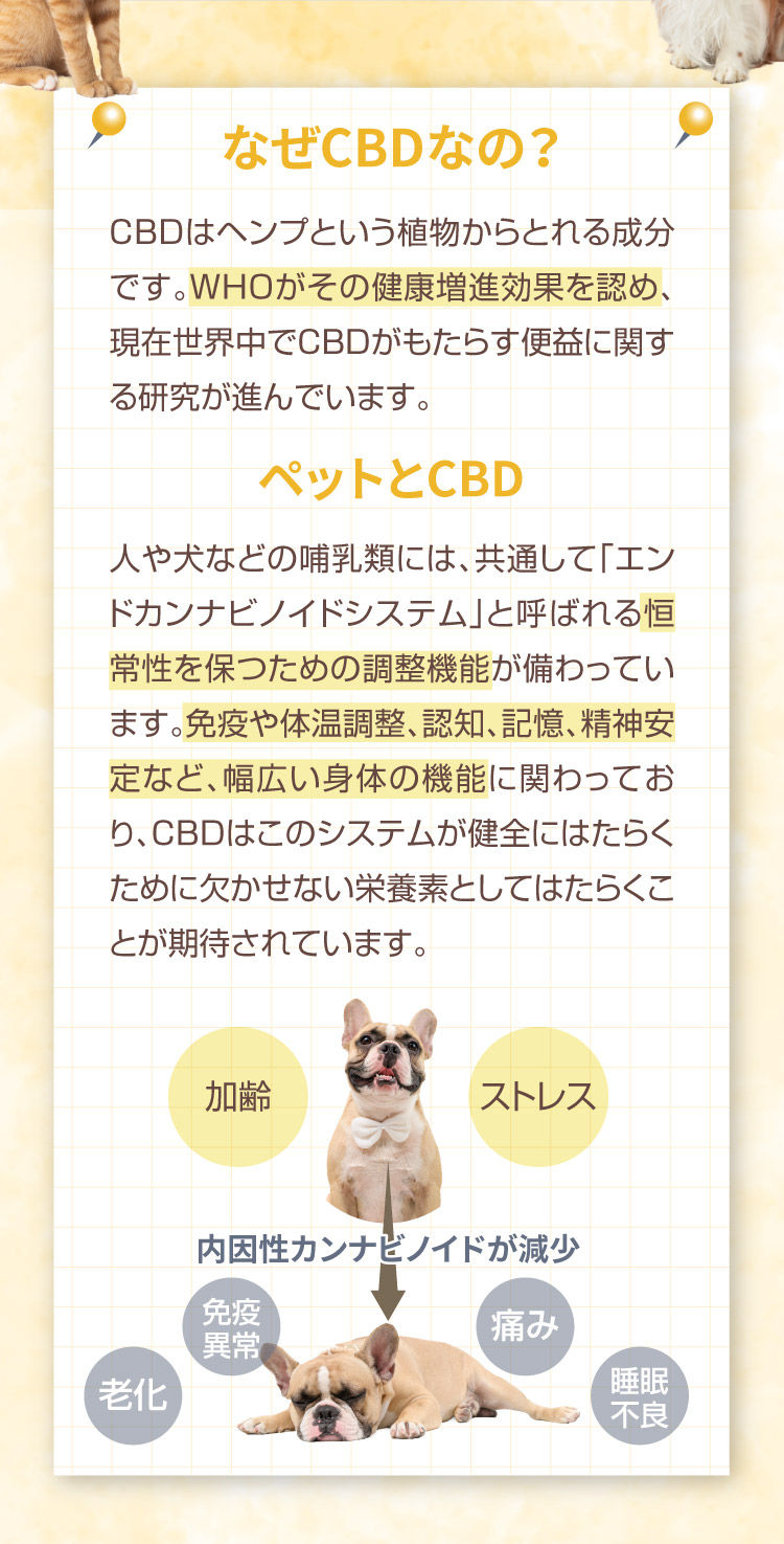 なぜCBDなの M&Ns(エムアンドエヌズ）CBD ペット用 オイル 犬用 100mg CBDオイル ペットグッズ ペットフード ドッグフード アイソレート 犬 猫 動物 カンナビジオール リラックス ストレス 健康 ペット用品 国内製造 国産 介護用品 介護 夜泣き 老犬 ケア 関節 車酔い てんかん 健康 分離不安 シニア犬 関節　mctオイル お試し