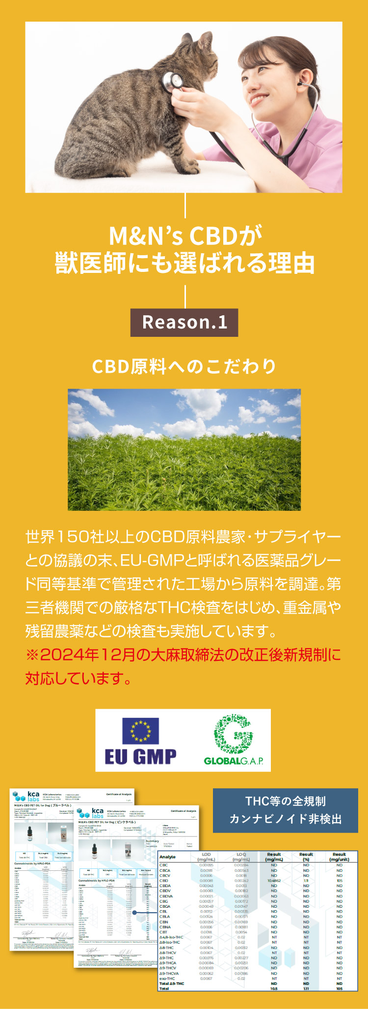 M&N's CBD 獣医師推奨 理由1【犬用CBDオイル】M&Ns(エムアンドエヌズ）CBD ペット用 オイル 犬用 100mg CBDオイル ペットグッズ ペットフード ドッグフード アイソレート 犬 猫 動物 カンナビジオール リラックス ストレス 健康 ペット用品 国内製造 国産 老犬 ケア 関節 車酔い てんかん 健康 分離不安 シニア犬 関節　mctオイル お試し サプリメント 夜泣き 介護用品 介護