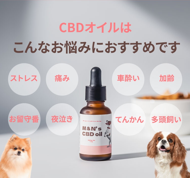 こんなお悩みにおすすめです【犬用CBDオイル】M&Ns(エムアンドエヌズ）CBD ペット用 オイル 犬用 100mg CBDオイル ペットグッズ ペットフード ドッグフード アイソレート 犬 猫 動物 カンナビジオール リラックス ストレス 健康 ペット用品 国内製造 国産 老犬 ケア 関節 車酔い てんかん 健康 分離不安 シニア犬 関節　mctオイル お試し サプリメント 介護用品 介護　夜泣き