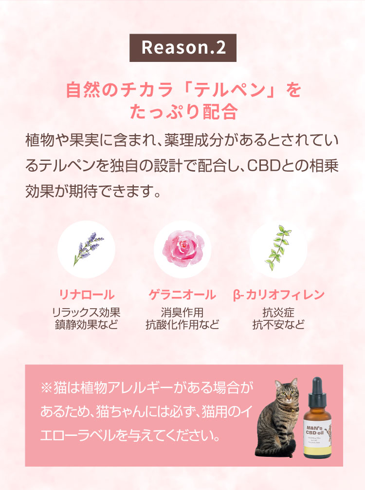 M&N's CBD 獣医師推奨 理由2 テルペン配合【犬用CBDオイル】M&Ns(エムアンドエヌズ）CBD ペット用 オイル 犬用 100mg CBDオイル ペットグッズ ペットフード ドッグフード アイソレート 犬 猫 動物 カンナビジオール リラックス ストレス 健康 ペット用品 国内製造 国産 老犬 ケア 関節 車酔い てんかん 健康 分離不安 シニア犬 関節　mctオイル お試し サプリメント 夜泣き 介護用品 介護