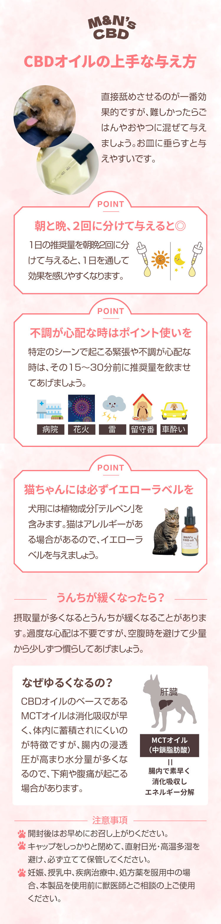CBDオイル 与えるコツ 上手な与え方 【犬用CBDオイル】M&Ns(エムアンドエヌズ）CBD ペット用 オイル 犬用 100mg CBDオイル ペットグッズ ペットフード ドッグフード アイソレート 犬 猫 動物 カンナビジオール リラックス ストレス 健康 ペット用品 国内製造 国産 老犬 ケア 関節 車酔い てんかん 健康 介護用品 介護 分離不安 シニア犬 関節　mctオイル お試し