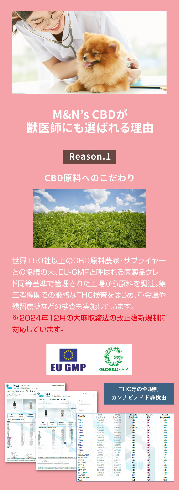 M&N's CBD 獣医師推奨 理由1【犬用CBDオイル】M&Ns(エムアンドエヌズ）CBD ペット用 オイル 犬用 100mg CBDオイル ペットグッズ ペットフード ドッグフード アイソレート 犬 猫 動物 カンナビジオール リラックス ストレス 健康 ペット用品 国内製造 国産 老犬 ケア 関節 車酔い てんかん 健康 分離不安 シニア犬 関節　mctオイル お試し サプリメント 夜泣き 介護用品 介護