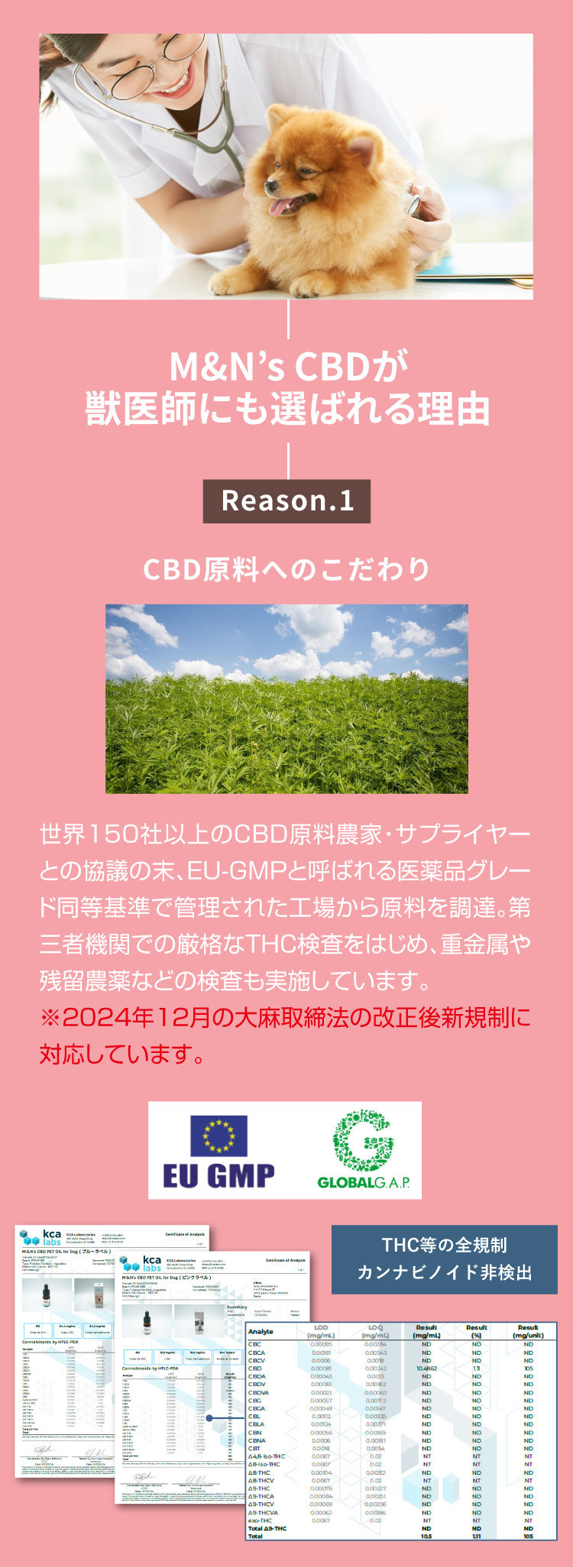 M&N's CBD 獣医師推奨 理由1【犬用CBDオイル】M&Ns(エムアンドエヌズ）CBD ペット用 オイル 犬用 100mg CBDオイル ペットグッズ ペットフード ドッグフード アイソレート 犬 猫 動物 カンナビジオール リラックス ストレス 健康 ペット用品 国内製造 国産 老犬 ケア 関節 車酔い てんかん 健康 分離不安 シニア犬 関節　mctオイル お試し サプリメント 夜泣き 介護用品 介護