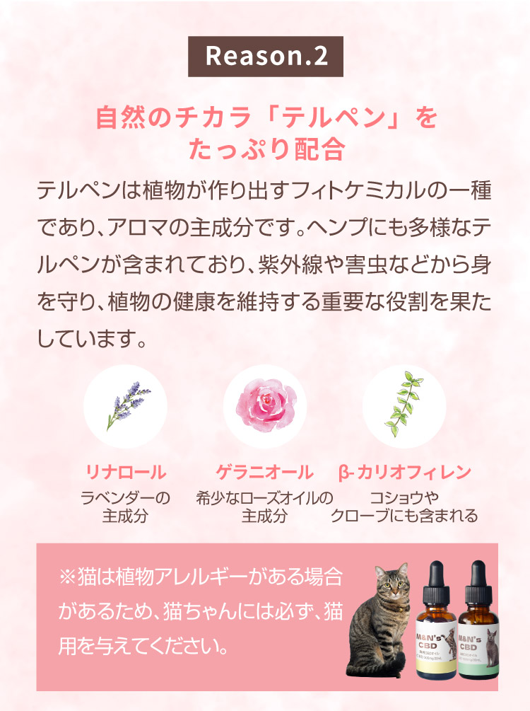 M&N's CBD 獣医師推奨 理由2 テルペン配合【犬用CBDオイル】M&Ns(エムアンドエヌズ）CBD ペット用 オイル 犬用 100mg CBDオイル ペットグッズ ペットフード ドッグフード アイソレート 犬 猫 動物 カンナビジオール リラックス ストレス 健康 ペット用品 国内製造 国産 老犬 ケア 関節 車酔い てんかん 健康 分離不安 シニア犬 関節　mctオイル お試し サプリメント 夜泣き 介護用品 介護
