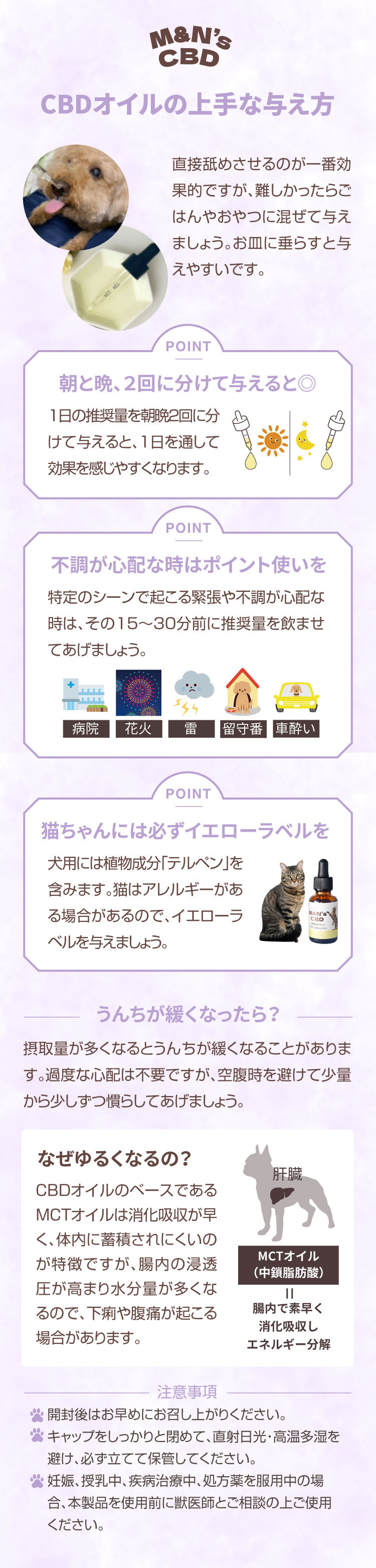 CBDオイル 与えるコツ 上手な与え方 【犬用CBDオイル】M&Ns(エムアンドエヌズ）CBD ペット用 オイル 犬用 100mg CBDオイル ペットグッズ ペットフード ドッグフード アイソレート 犬 猫 動物 カンナビジオール リラックス ストレス 健康 ペット用品 国内製造 国産 老犬 ケア 関節 車酔い てんかん 健康 介護用品 介護 分離不安 シニア犬 関節　mctオイル お試し