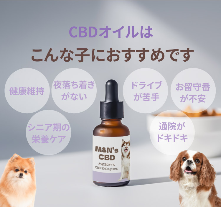 こんなお悩みにおすすめです【犬用CBDオイル】M&Ns(エムアンドエヌズ）CBD ペット用 オイル 犬用 100mg CBDオイル ペットグッズ ペットフード ドッグフード アイソレート 犬 猫 動物 カンナビジオール リラックス ストレス 健康 ペット用品 国内製造 国産 老犬 ケア 関節 車酔い てんかん 健康 分離不安 シニア犬 関節　mctオイル お試し サプリメント 介護用品 介護　夜泣き