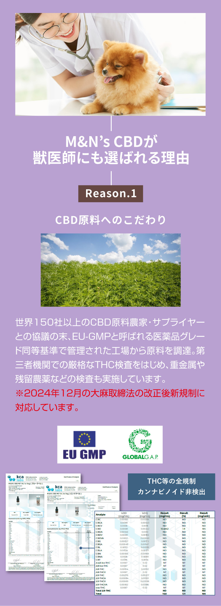 M&N's CBD 獣医師推奨 理由1【犬用CBDオイル】M&Ns(エムアンドエヌズ）CBD ペット用 オイル 犬用 100mg CBDオイル ペットグッズ ペットフード ドッグフード アイソレート 犬 猫 動物 カンナビジオール リラックス ストレス 健康 ペット用品 国内製造 国産 老犬 ケア 関節 車酔い てんかん 健康 分離不安 シニア犬 関節　mctオイル お試し サプリメント 夜泣き 介護用品 介護