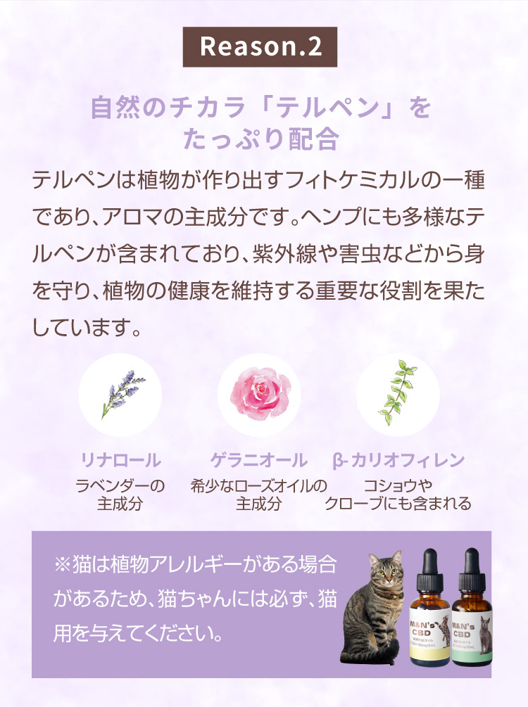 M&N's CBD 獣医師推奨 理由2 テルペン配合【犬用CBDオイル】M&Ns(エムアンドエヌズ）CBD ペット用 オイル 犬用 100mg CBDオイル ペットグッズ ペットフード ドッグフード アイソレート 犬 猫 動物 カンナビジオール リラックス ストレス 健康 ペット用品 国内製造 国産 老犬 ケア 関節 車酔い てんかん 健康 分離不安 シニア犬 関節　mctオイル お試し サプリメント 夜泣き 介護用品 介護