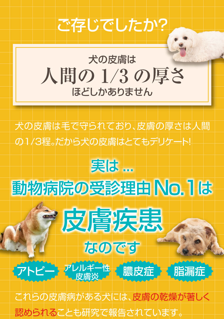 犬 皮膚 疾患 アトピー アレルギー 皮膚炎 脂漏症 膿皮症 乾燥 カイカイバリア処方 カイカイバリアスプレー セラミド CBD 犬用保湿スプレー 