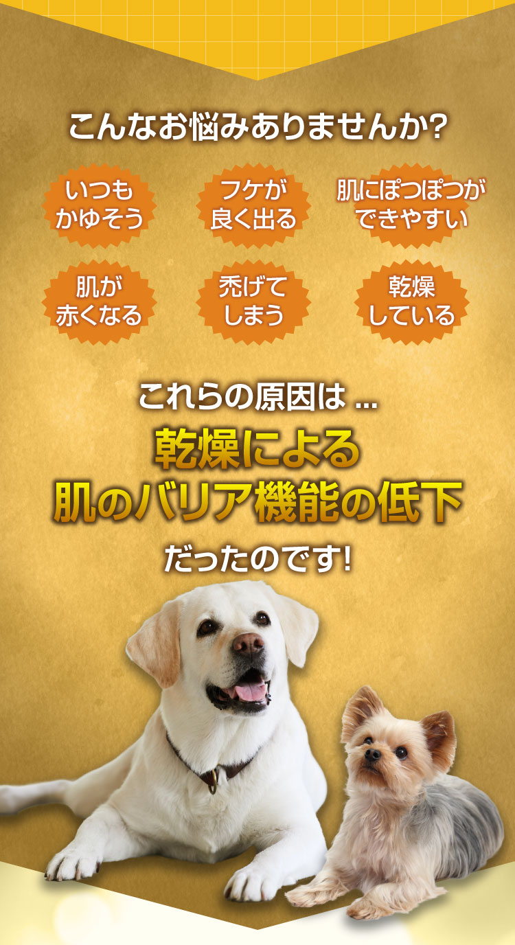 お悩み バリア機能 低下 カイカイバリア処方 カイカイバリアスプレー セラミド CBD 犬用保湿スプレー 