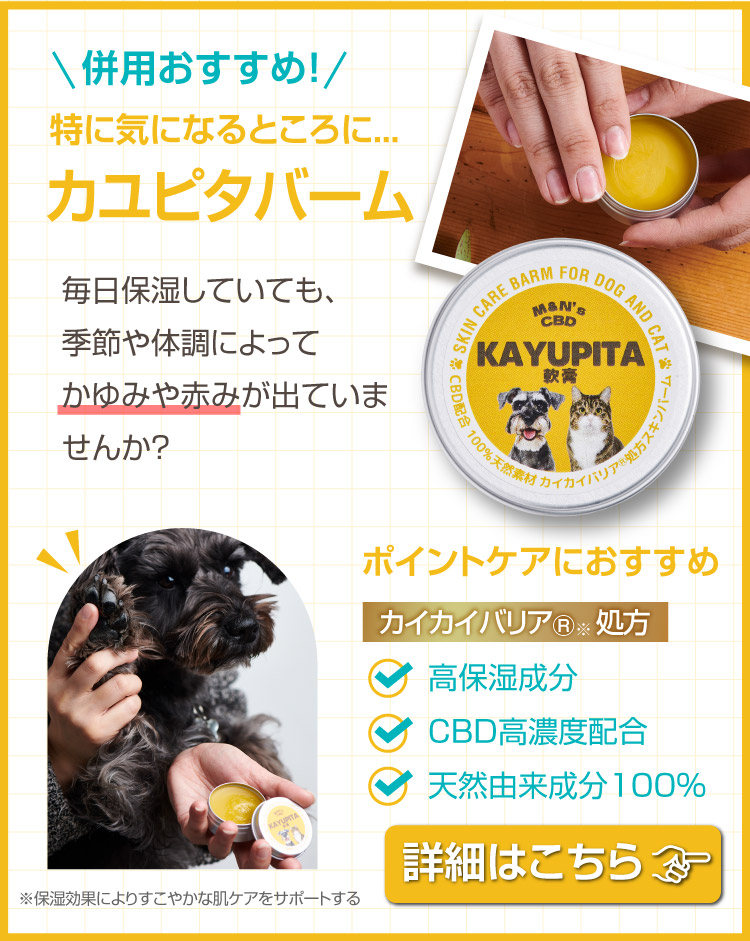カユピタ軟膏 併用おすすめ バナー 犬 ストレス CBDオイル カユピタ軟膏 CBD バーム 犬用 猫用 クーポン獲得