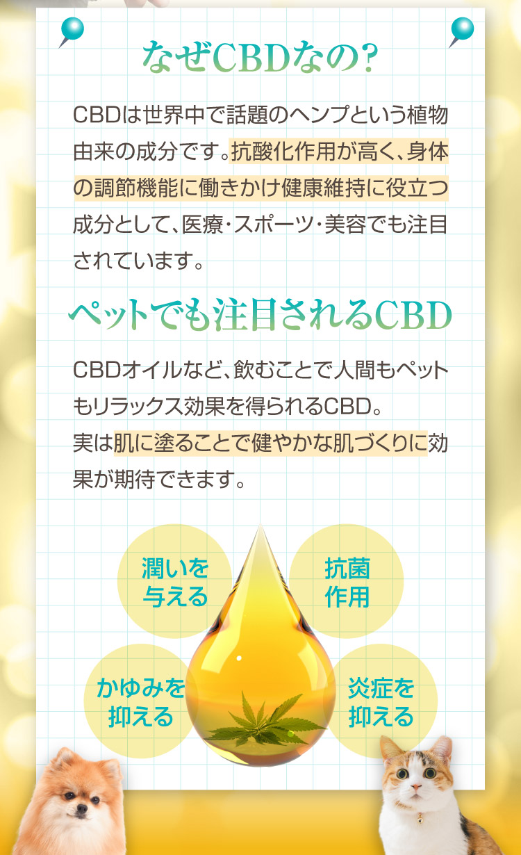 なぜCBD カユピタ軟膏 CBD バーム 犬用 猫用 