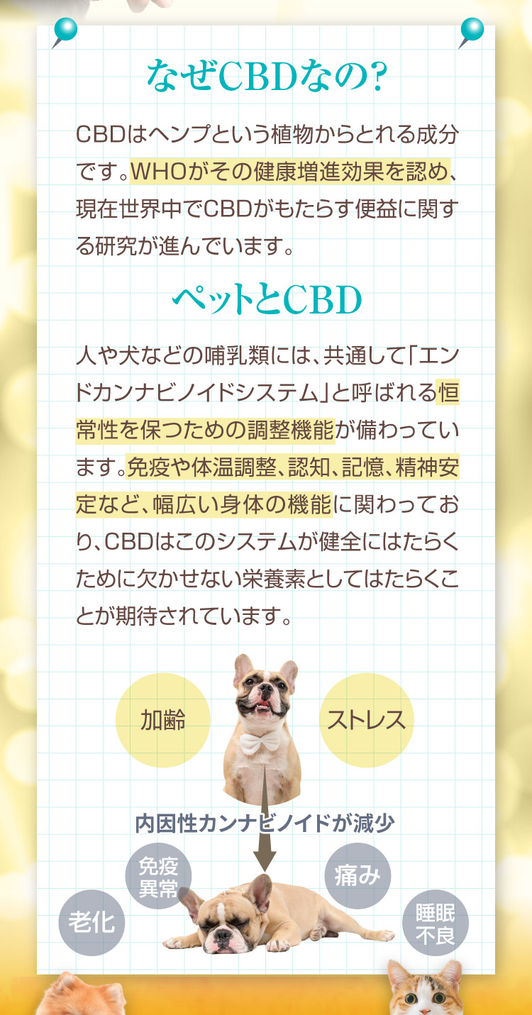 なぜCBD カユピタ軟膏 CBD バーム 犬用 猫用 