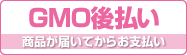 GMO後払い